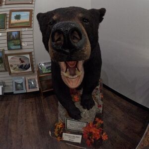 Meet your Posher, Buffalo